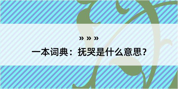 一本词典：抚哭是什么意思？