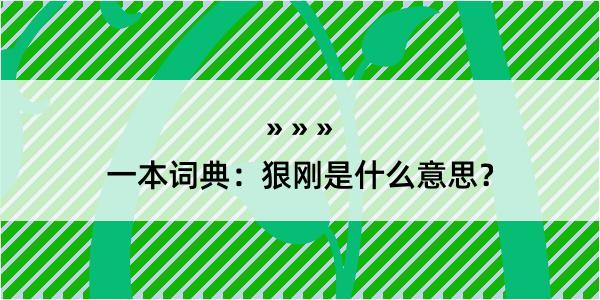 一本词典：狠刚是什么意思？