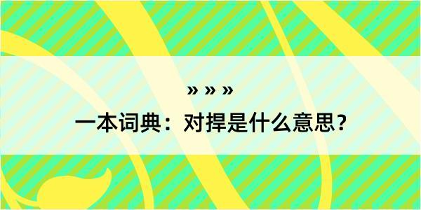 一本词典：对捍是什么意思？