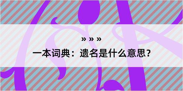 一本词典：遗名是什么意思？