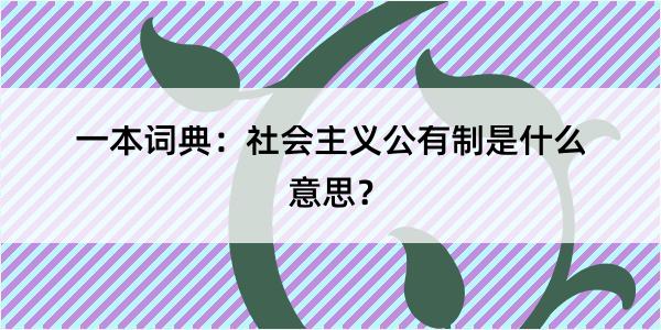 一本词典：社会主义公有制是什么意思？