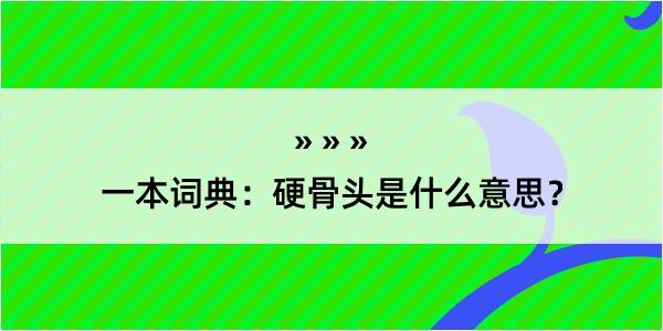 一本词典：硬骨头是什么意思？