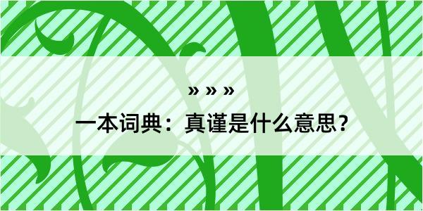 一本词典：真谨是什么意思？