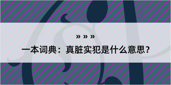 一本词典：真脏实犯是什么意思？