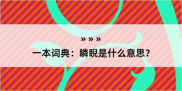 一本词典：瞵睨是什么意思？