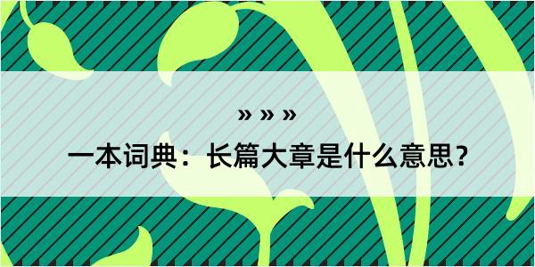 一本词典：长篇大章是什么意思？