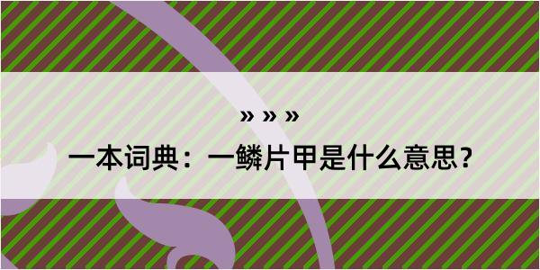 一本词典：一鳞片甲是什么意思？