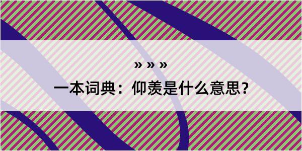 一本词典：仰羡是什么意思？