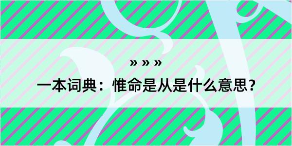 一本词典：惟命是从是什么意思？