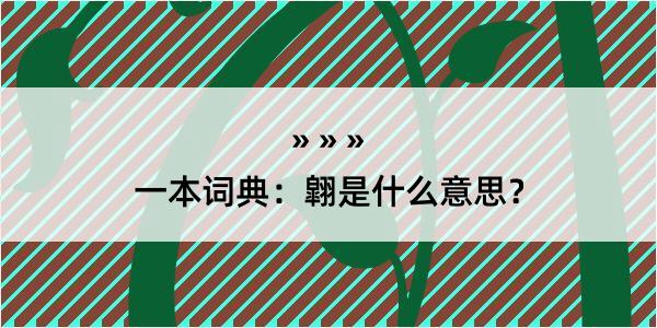 一本词典：翶是什么意思？