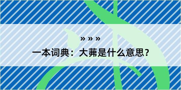 一本词典：大茀是什么意思？