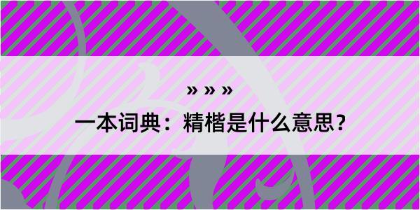 一本词典：精楷是什么意思？