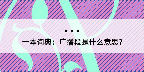 一本词典：广播段是什么意思？