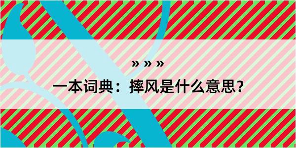 一本词典：摔风是什么意思？