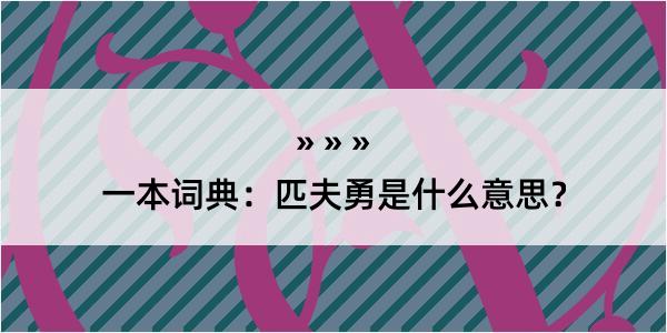 一本词典：匹夫勇是什么意思？