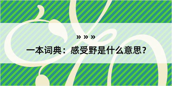 一本词典：感受野是什么意思？