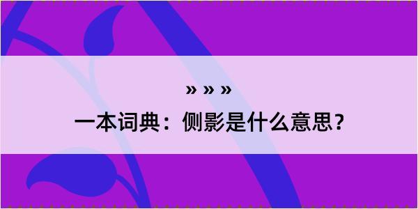 一本词典：侧影是什么意思？