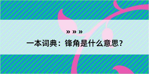 一本词典：锋角是什么意思？