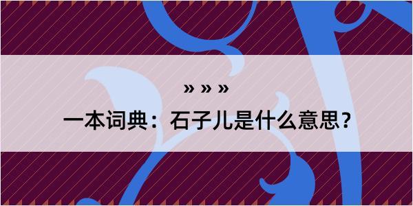 一本词典：石子儿是什么意思？