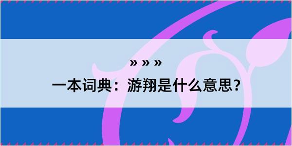 一本词典：游翔是什么意思？