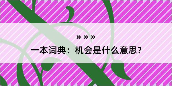 一本词典：机会是什么意思？