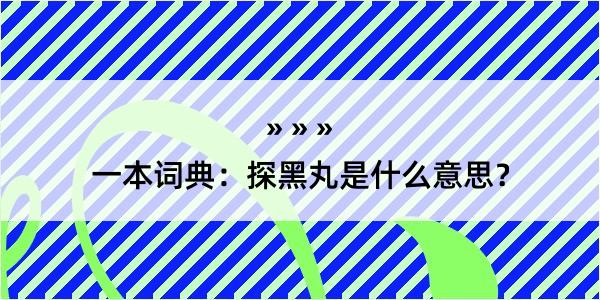 一本词典：探黑丸是什么意思？