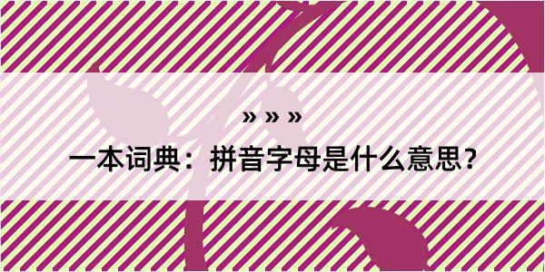 一本词典：拼音字母是什么意思？