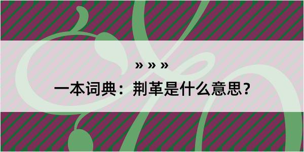 一本词典：荆革是什么意思？