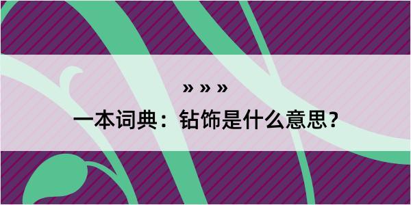 一本词典：钻饰是什么意思？