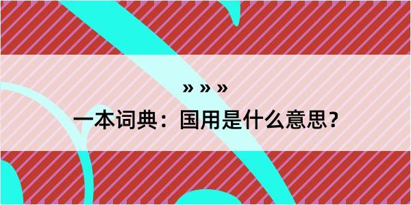 一本词典：国用是什么意思？