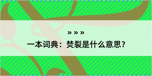 一本词典：焚裂是什么意思？