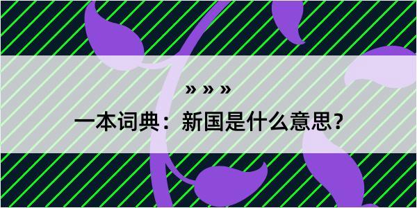 一本词典：新国是什么意思？