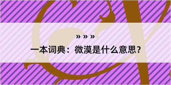 一本词典：微漠是什么意思？