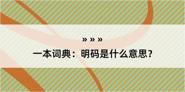 一本词典：明码是什么意思？