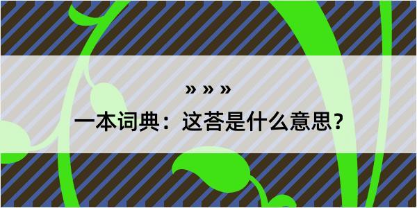 一本词典：这荅是什么意思？