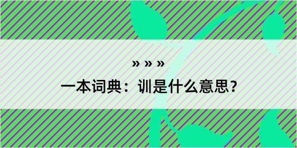 一本词典：训是什么意思？