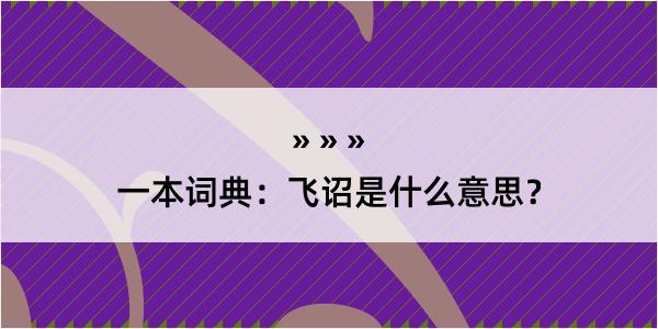 一本词典：飞诏是什么意思？