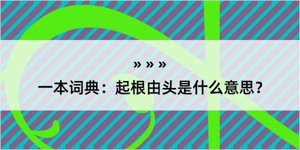 一本词典：起根由头是什么意思？