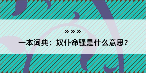 一本词典：奴仆命骚是什么意思？