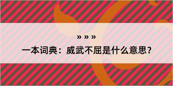 一本词典：威武不屈是什么意思？