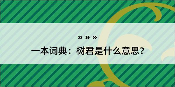 一本词典：树君是什么意思？