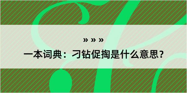 一本词典：刁钻促掏是什么意思？