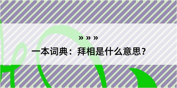 一本词典：拜相是什么意思？