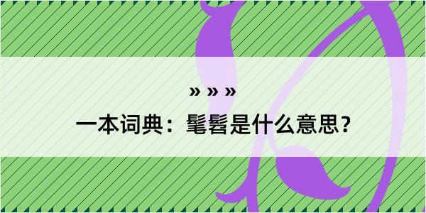 一本词典：髦髫是什么意思？