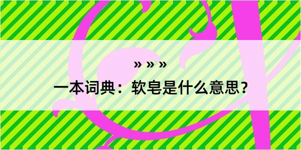 一本词典：软皂是什么意思？