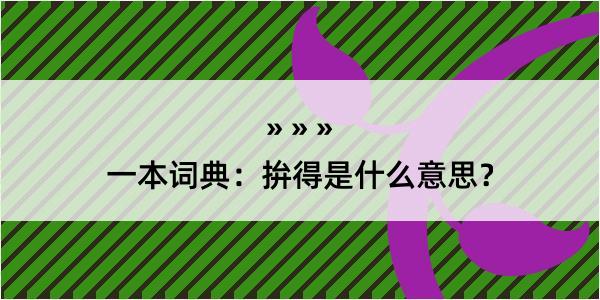 一本词典：拚得是什么意思？