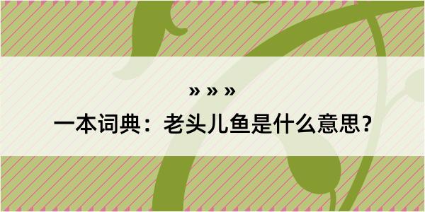 一本词典：老头儿鱼是什么意思？