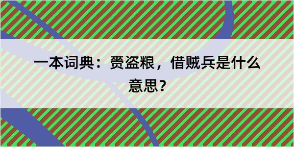 一本词典：赍盗粮，借贼兵是什么意思？