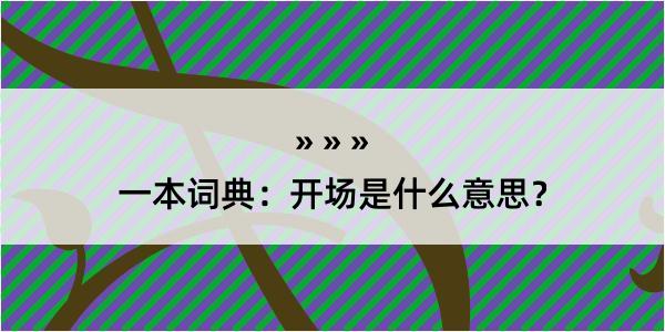 一本词典：开场是什么意思？