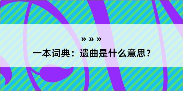 一本词典：遗曲是什么意思？